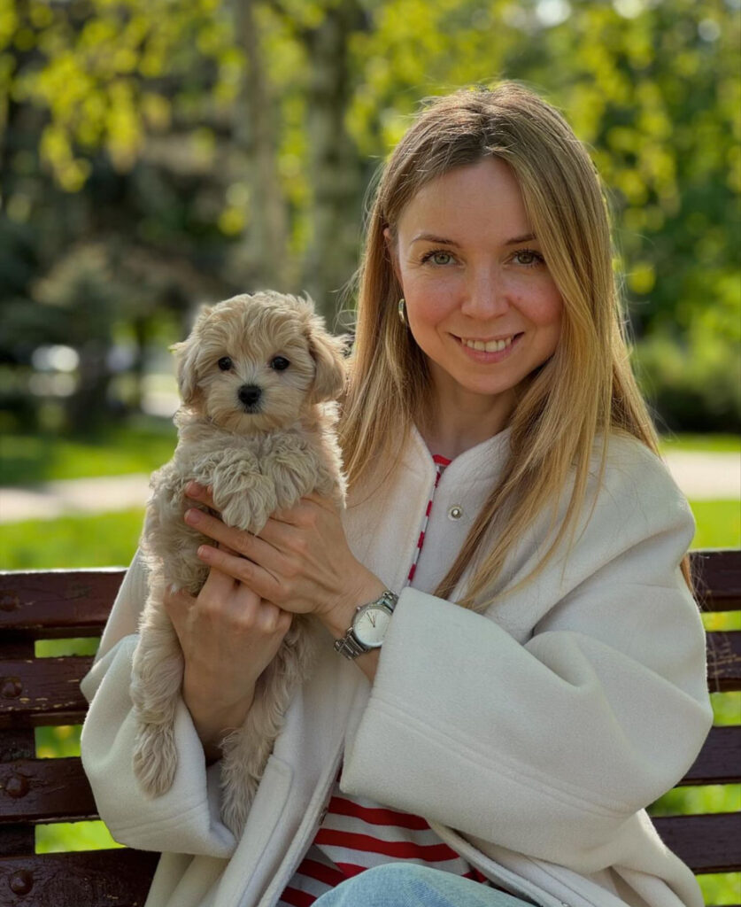 Maltipoo Puppies Bliss Matipoos Bliss Matipoos Maltipoo Puppies